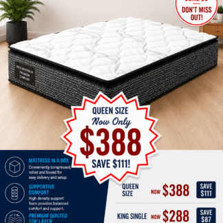 Physio Mattress - Budget Conscious - Beds in a Box.